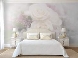 fotobehang zachte roosjes - depst- 156499206 - slaapkamer